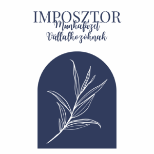 Imposztor munkafüzet vállalkozóknak